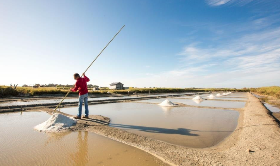  - La Vendée avec La Rochelle et l'Ile de Ré