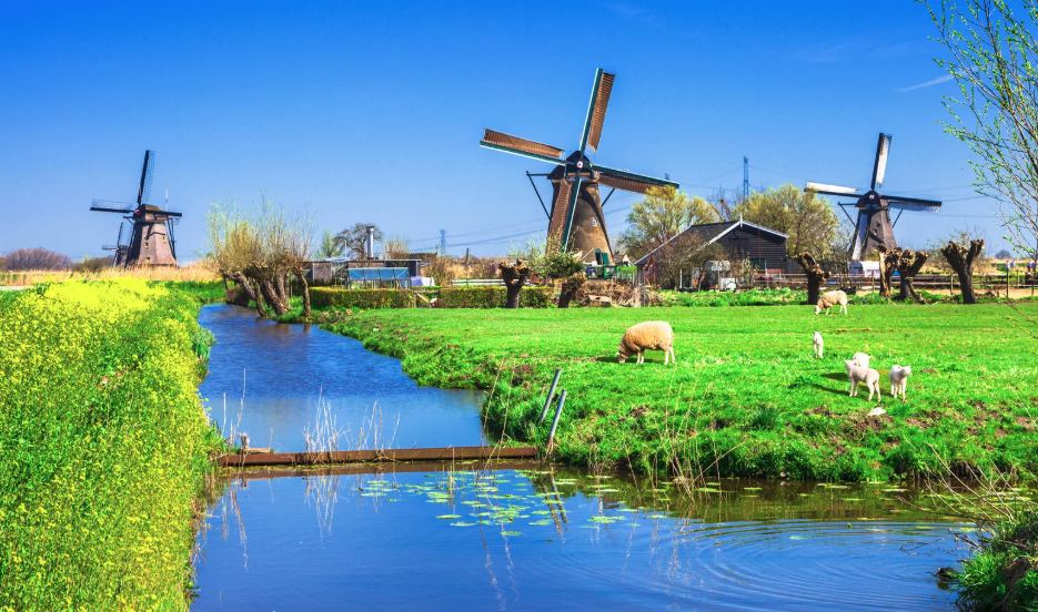 - Combiné Belgique et Pays-bas avec le carnaval de Zundert